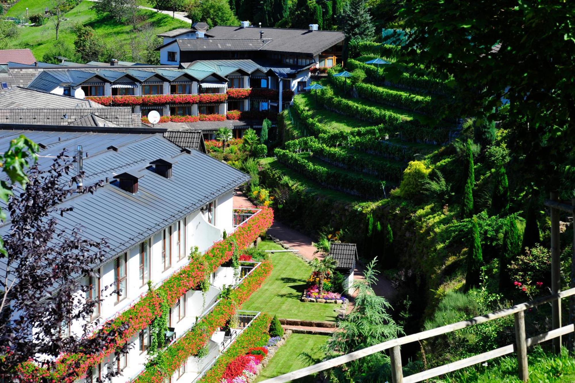 Hotel Dollenberg 바트 페테르스탈-그리스바흐 객실 사진